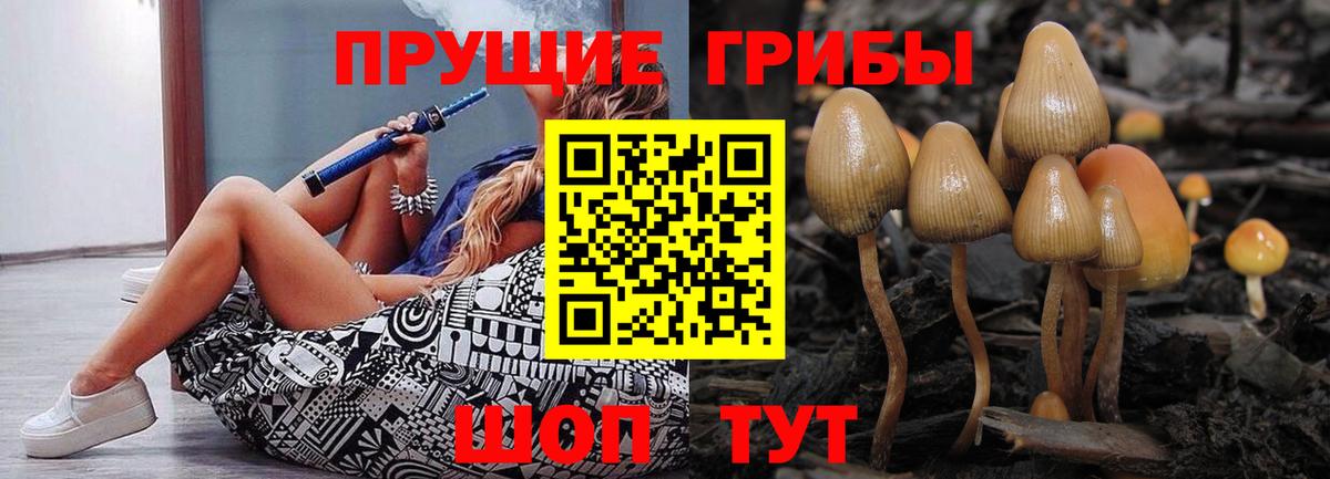 Псилоцибиновые грибы MAGIC MUSHROOMS Похвистнево